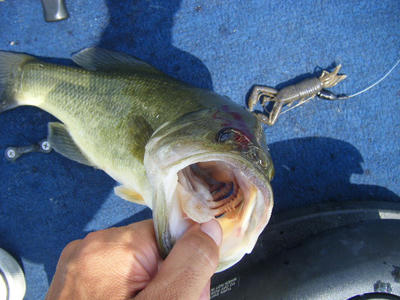 DSCF1567.JPG