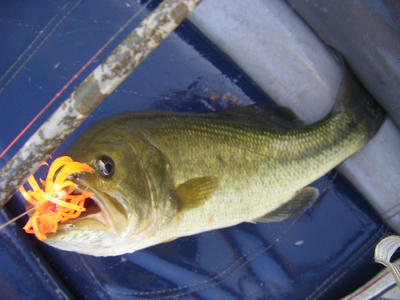 DSCF1565.JPG
