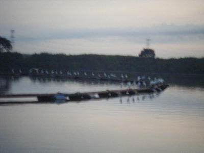 DSCF1562.JPG