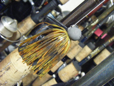 DSCF1581.JPG