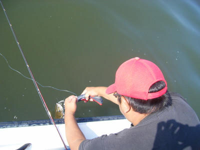 DSCF1592.JPG
