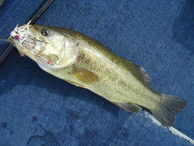 DSCF1602.JPG
