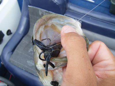 DSCF1611.JPG