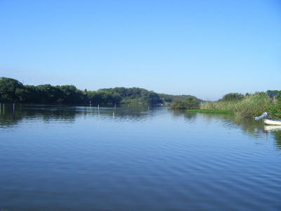 DSCF1651.JPG