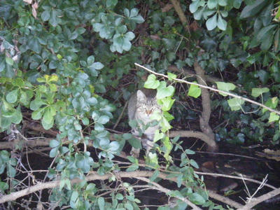 DSCF1653.JPG