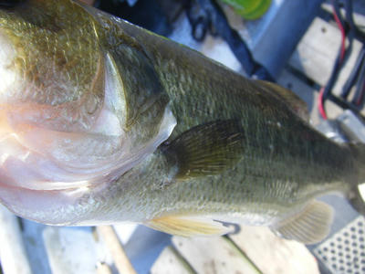 DSCF1661.JPG