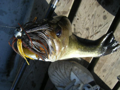 DSCF1663.JPG