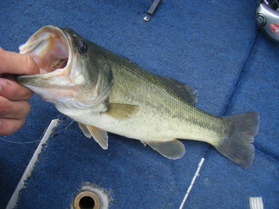 DSCF1668.JPG