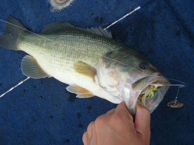 DSCF1669.JPG