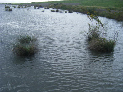 DSCF1701.JPG
