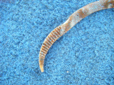DSCF1706.JPG