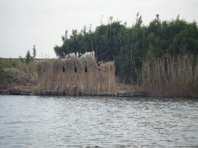 DSCF1735.JPG