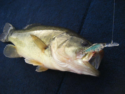 DSCF1752.JPG