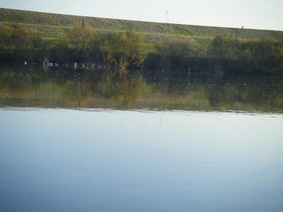 DSCF1794.JPG