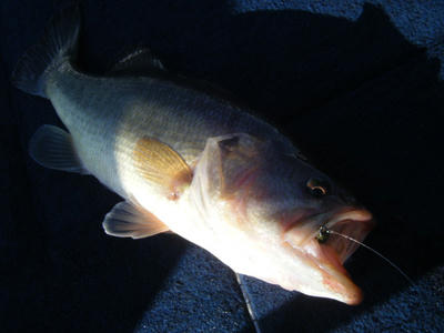 DSCF1788.JPG