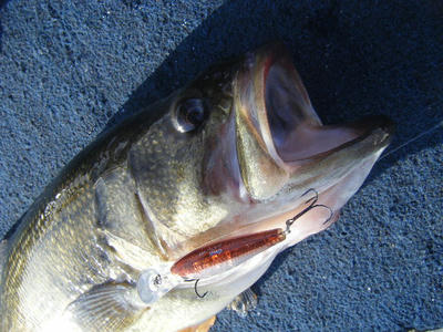 DSCF1844.JPG