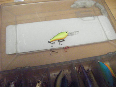 DSCF1860.JPG