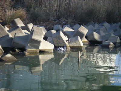 DSCF1883.JPG