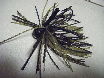 DSCF1900.JPG