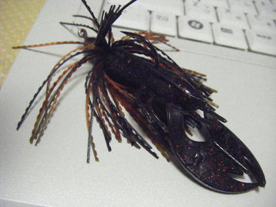 DSCF1898.JPG