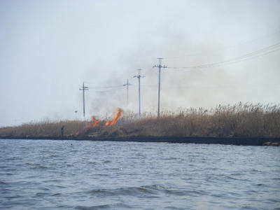 DSCF1946.JPG