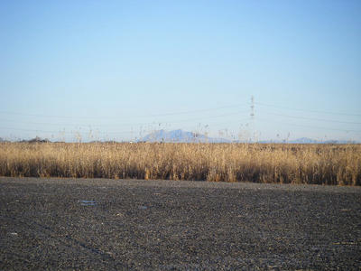 DSCF1973.JPG