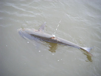 DSCF1989.JPG
