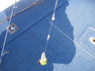 DSCF2057.JPG