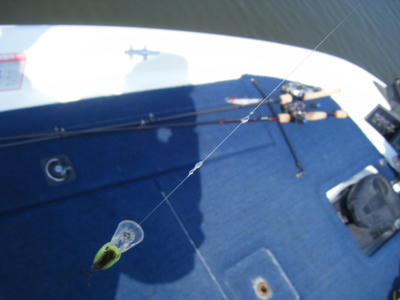 DSCF2056.JPG