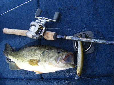 DSCF2072.JPG