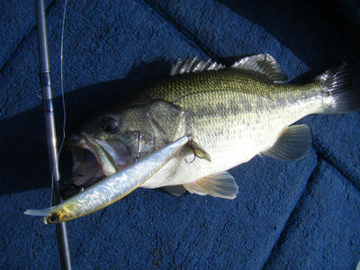 DSCF2070.JPG