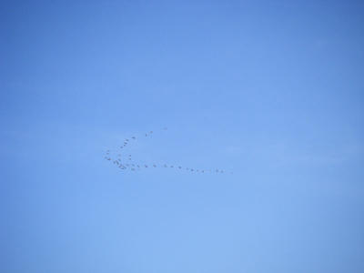 DSCF2068.JPG