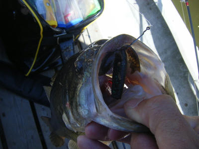 DSCF2107.JPG