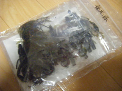 DSCF2110.JPG
