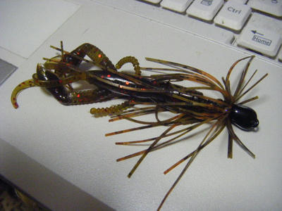 DSCF2113.JPG