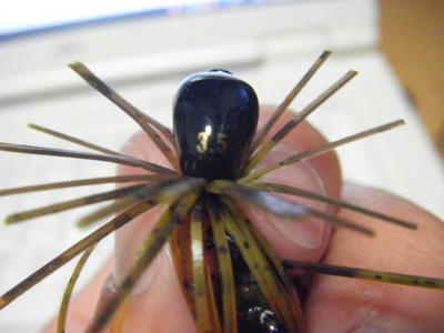 DSCF2116.JPG