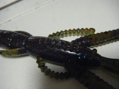 DSCF2118.JPG