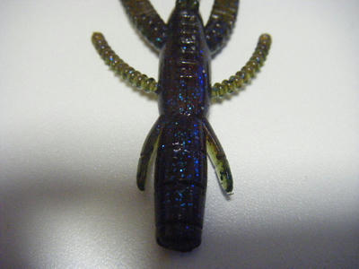 DSCF2122.JPG