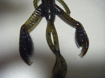 DSCF2119.JPG