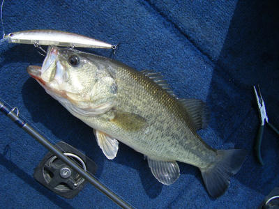 DSCF2139.JPG