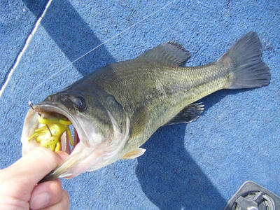 DSCF2143.JPG