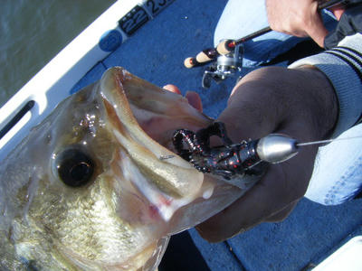 DSCF2150.JPG