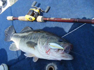 DSCF2173.JPG