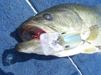 DSCF2169.JPG
