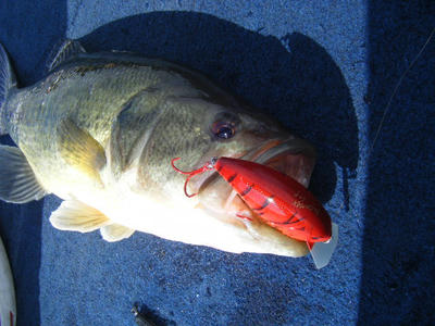 DSCF2168.JPG