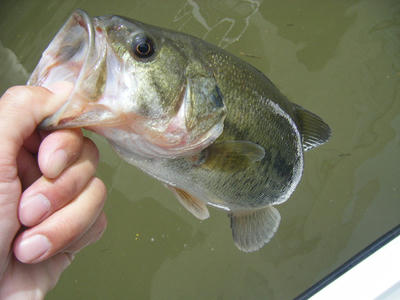 DSCF2179.JPG