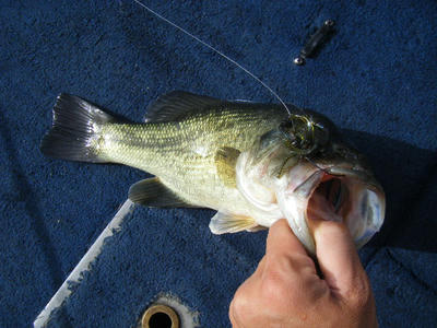 DSCF2178.JPG