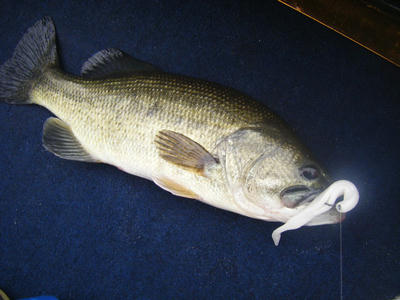 DSCF2255.JPG