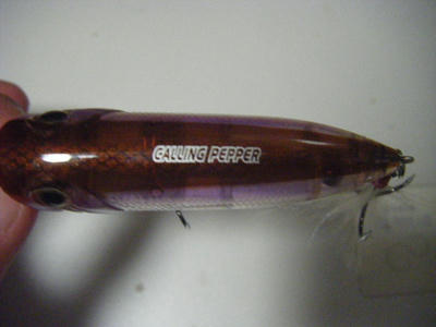 DSCF2278.JPG