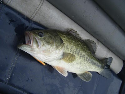 DSCF2297.JPG